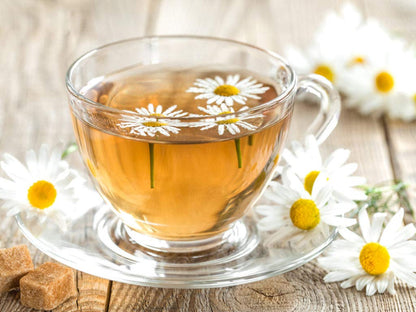 Herbal Infusions "Camomile (1.2g x 25En) - 70843